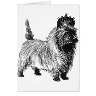 Cairn Terrier Dog Puppy Crown