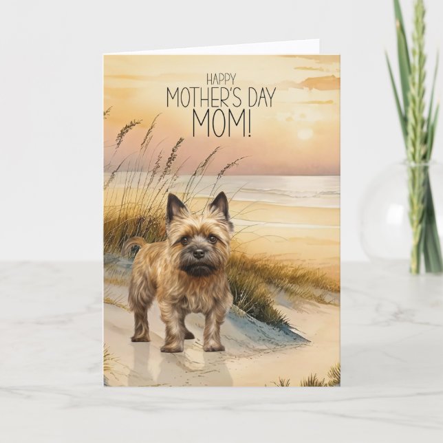 Cairn Terrier Dog Sunset Beach Mother's Day Holiday Card (Front)