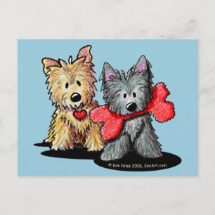 Cairn Terrier Duo Postcard