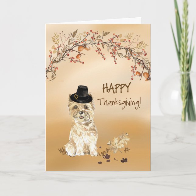 Cairn Terrier Funny Pilgrim Hat Thanksgiving Card (Front)