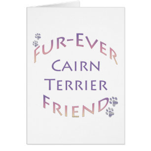 Cairn Terrier Furever