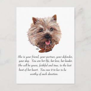 Cairn Terrier Keepsake - FEMALE Postcard