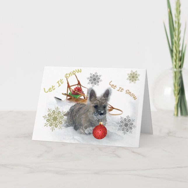 Cairn Terrier Laisser Les Cartes De Neige (Devant)