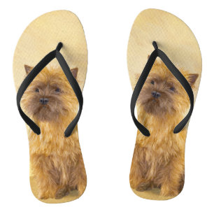 Cairn Terrier Painting - Cute Original Dog Art Flip Flops