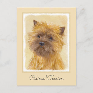 Cairn Terrier Painting - Cute Original Dog Art Postcard
