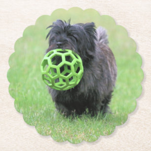 Cairn terrier paper coaster