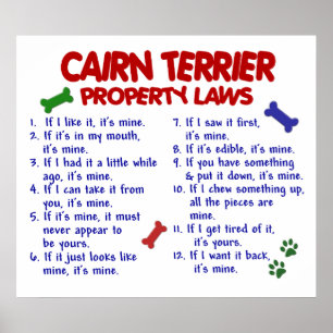 CAIRN TERRIER PL2 POSTER