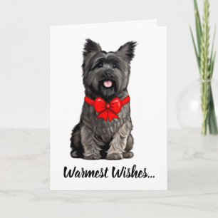 Cairn Terrier portant une carte de voeux de Noël