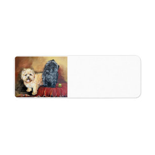Cairn Terrier Portrait