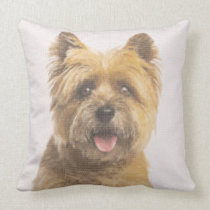 Cairn Terrier Portrait Faux Needlepoint Design Throw Pillow