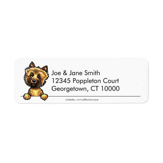 Cairn Terrier propre et simple (Devant)
