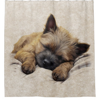 Cairn Terrier Puppy Dog Sleeping Bathroom