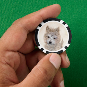 Cairn Terrier Puppy Painting - Original Dog Art Poker Chips