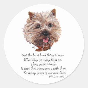 Cairn Terrier Rainbow Bridge Classic Round Sticker