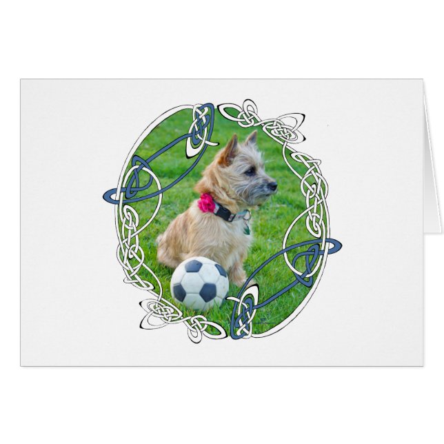 Cairn terrier soccer (Devant horizontal)