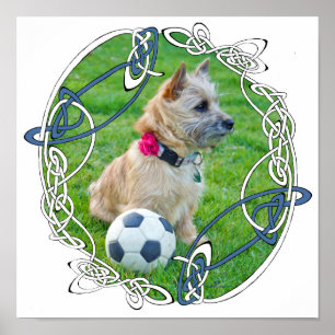 Cairn Terrier Soccer Poster