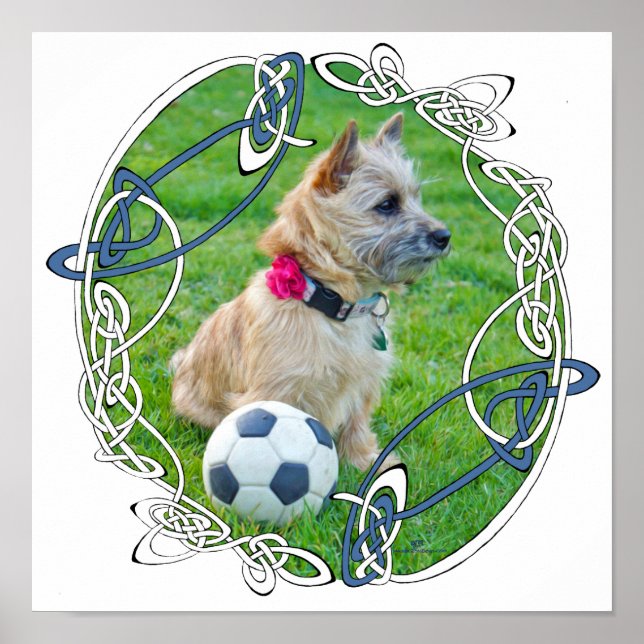 Cairn Terrier Soccer Poster (Front)