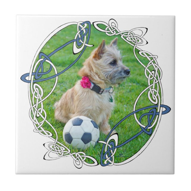 Cairn Terrier Soccer Tile (Front)