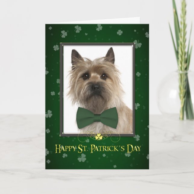 Cairn Terrier St. Patrick's Day Card (Front)