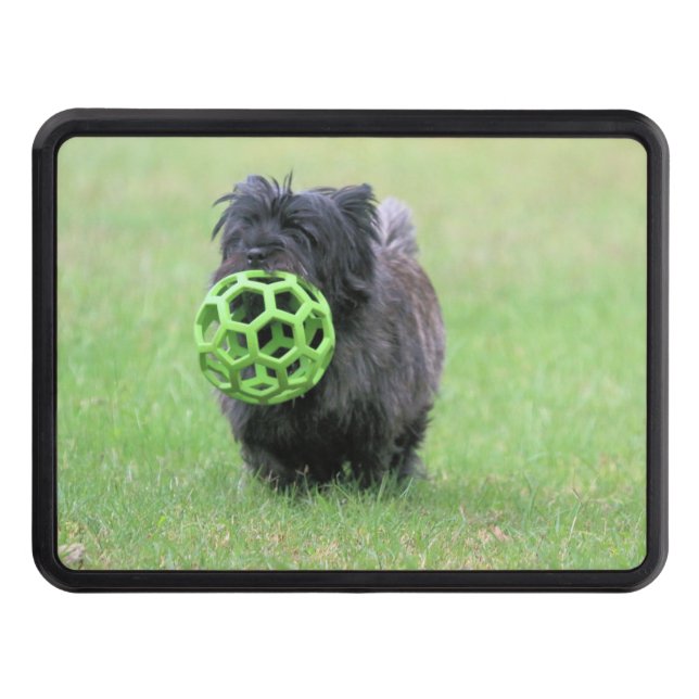 Cairn terrier     trailer hitch cover (Front)