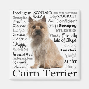 Cairn Terrier Traits Magnet