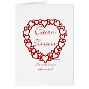 Cairn Terrier True Love