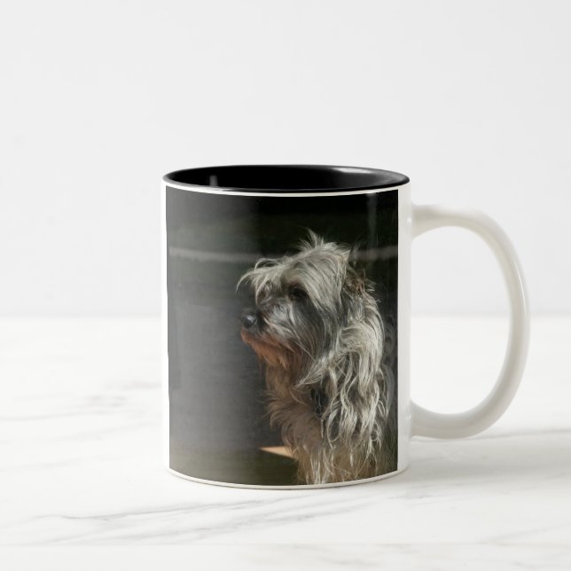 cairn terrier Two-Tone coffee mug (Right)