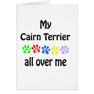 Cairn Terrier Walks Design