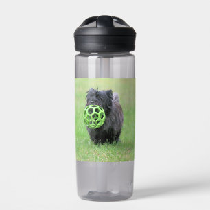 Cairn terrier  water bottle