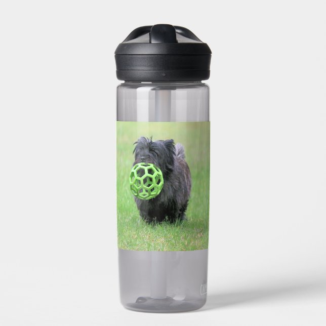 Cairn terrier  water bottle (Front)