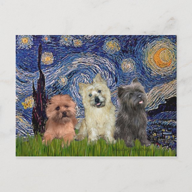 Cairn Terriers (three) - Starry Night Postcard (Front)
