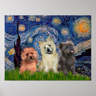 Cairn Terriers (three) - Starry Night Poster