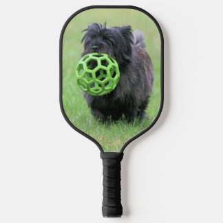 Cairn terriers two pickleball paddle