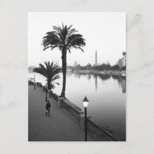 Cairo Egypt, Along the Nile River Postcard
