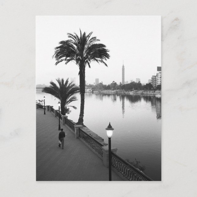Cairo Egypt, Along the Nile River Postcard (Front)