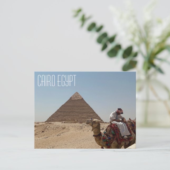 Cairo Egypt Camel In Front Of Pyramid Postcard (Standing Front)