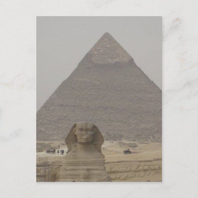 Cairo Egypt Pyramid/Sphynx Postcard (Front)