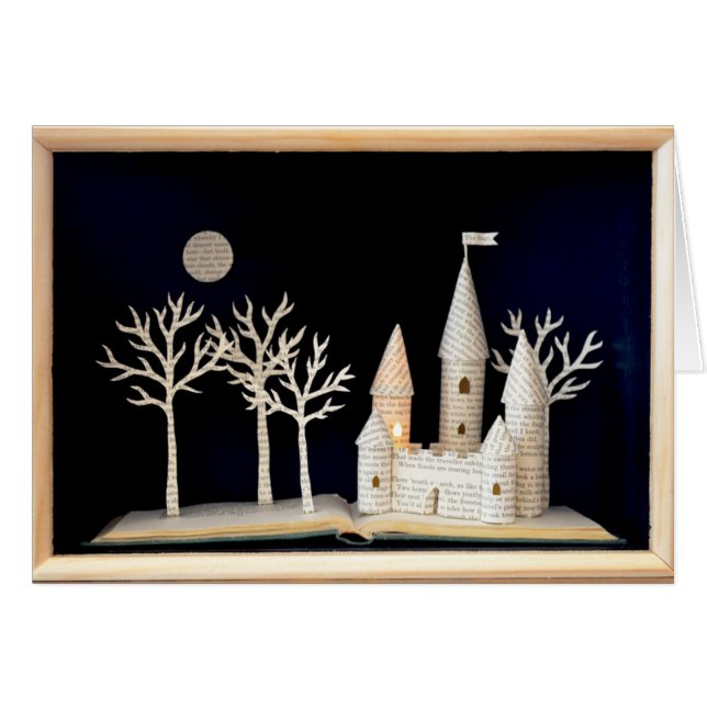 Caisson lumineux 2013 de château (Devant horizontal)