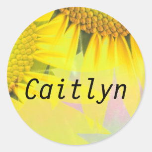 Caitlyn Rainbow Sunflower Nom Stickers