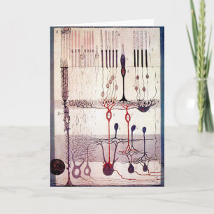 Cajal Greetings Card