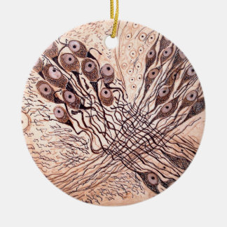 Cajal's Neurons 1 Ceramic Ornament