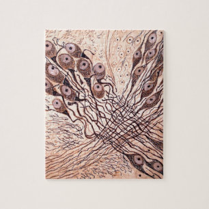 Cajal's Neurons 1 Jigsaw Puzzle