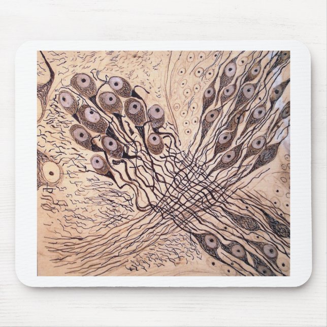Cajal's Neurons 1 Mouse Pad (Front)
