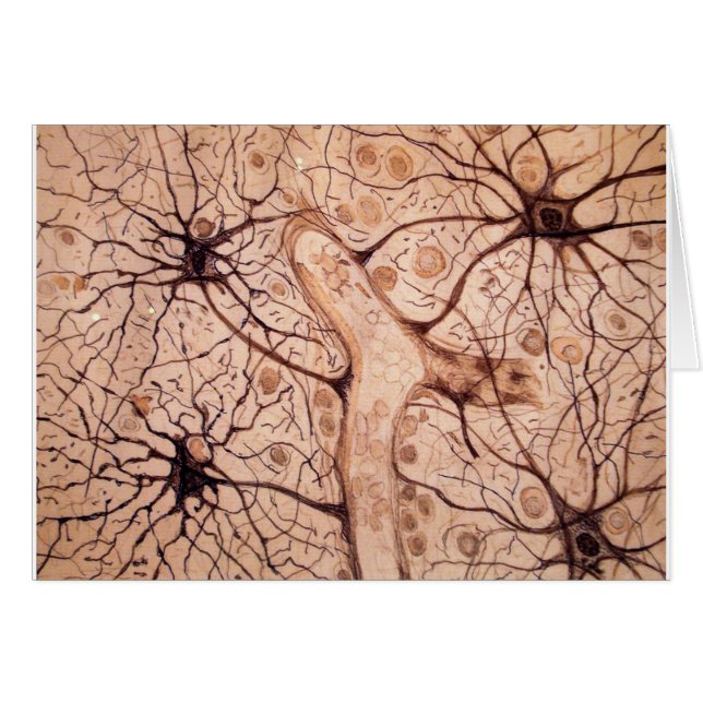 Cajal's Neurons 3 (Front Horizontal)