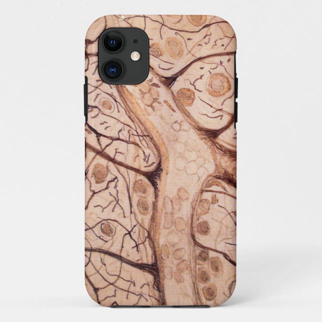 Cajal's Neurons 3 Case-Mate iPhone Case (Back)
