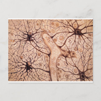 Cajal's Neurons 3 Postcard