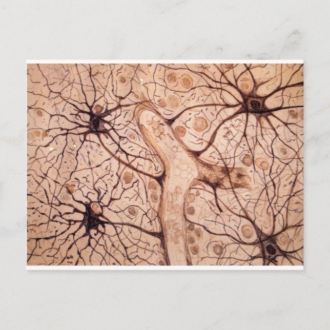 Cajal's Neurons 3 Postcard (Front)