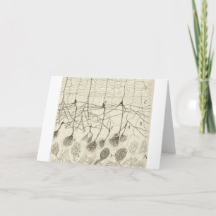 Cajal's Neurons 8 Card