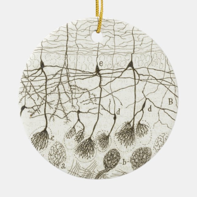 Cajal's Neurons 8 Ceramic Ornament (Front)
