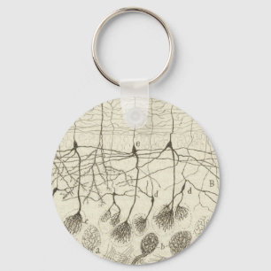 Cajal's Neurons 8 Keychain